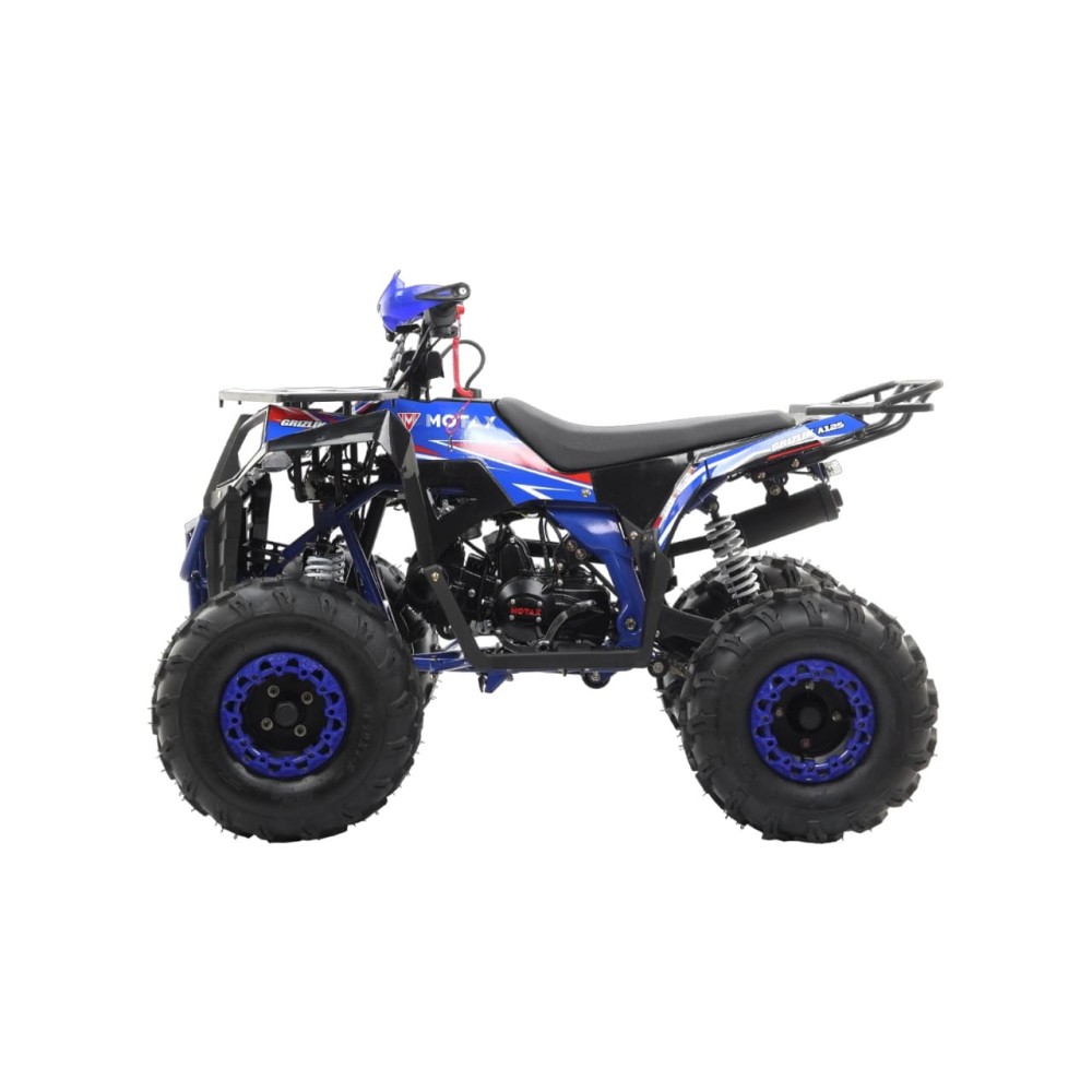 Квадроцикл MOTAX Grizlik A125
