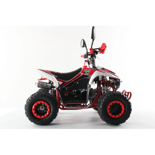 Квадроцикл MOTAX ATV Mikro 110cc
