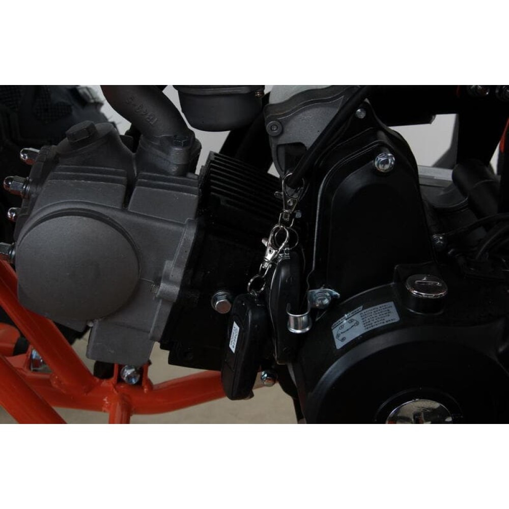 Квадроцикл MOTAX ATV T-Rex Super LUX 50 cc