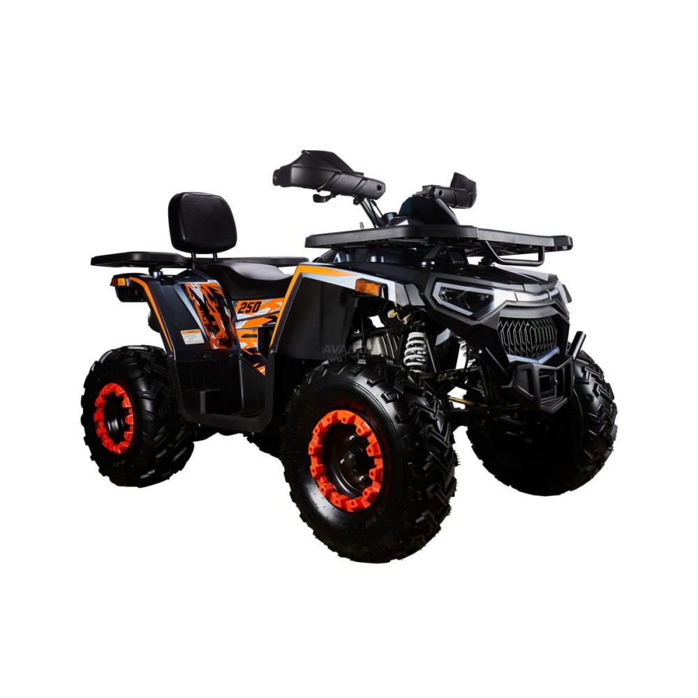 Квадроцикл AVANTIS H250 BIG NEW Basic