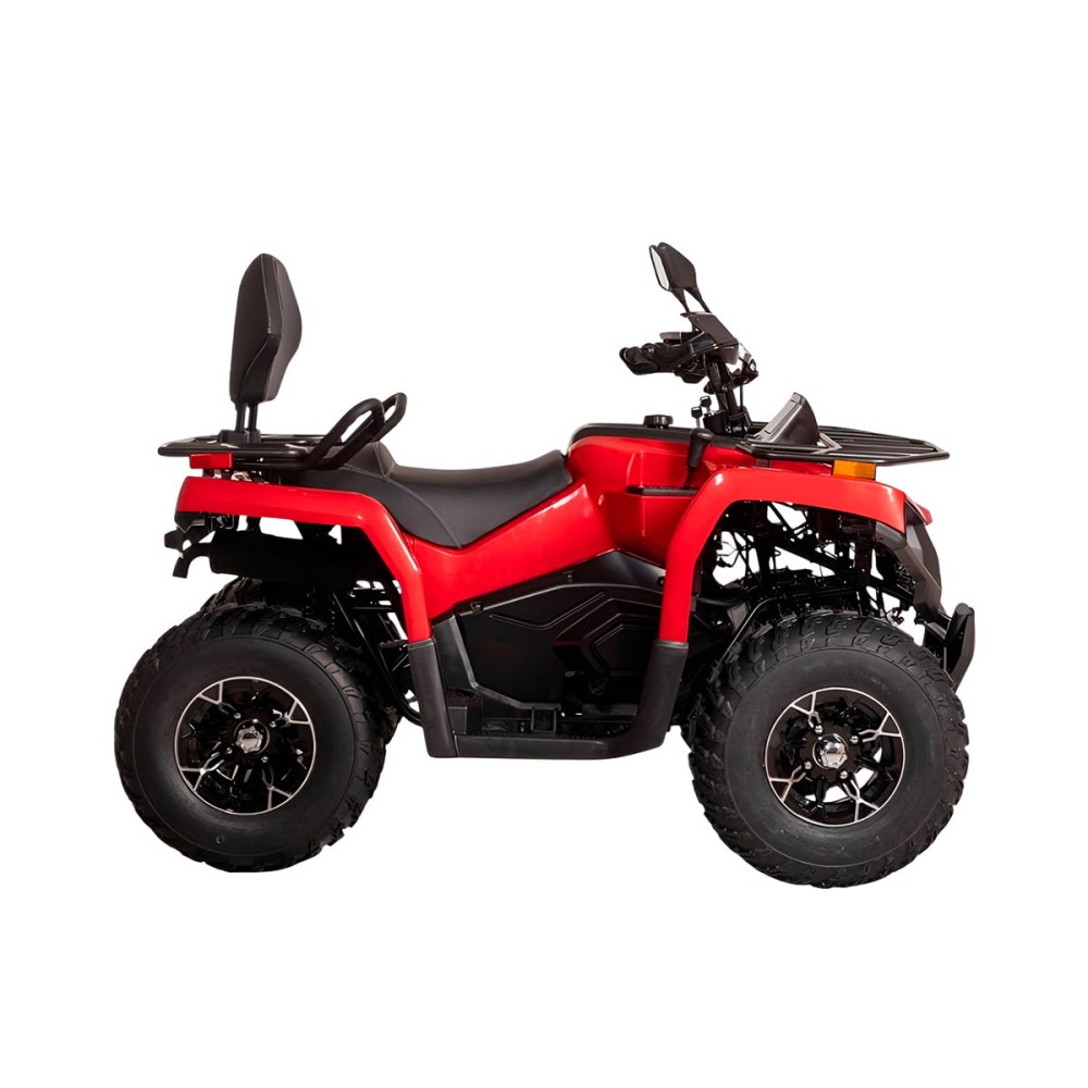 Квадроцикл BIZON YK200 Basic Carb