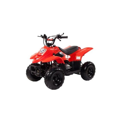 Квадроцикл IRBIS Dingo 50s