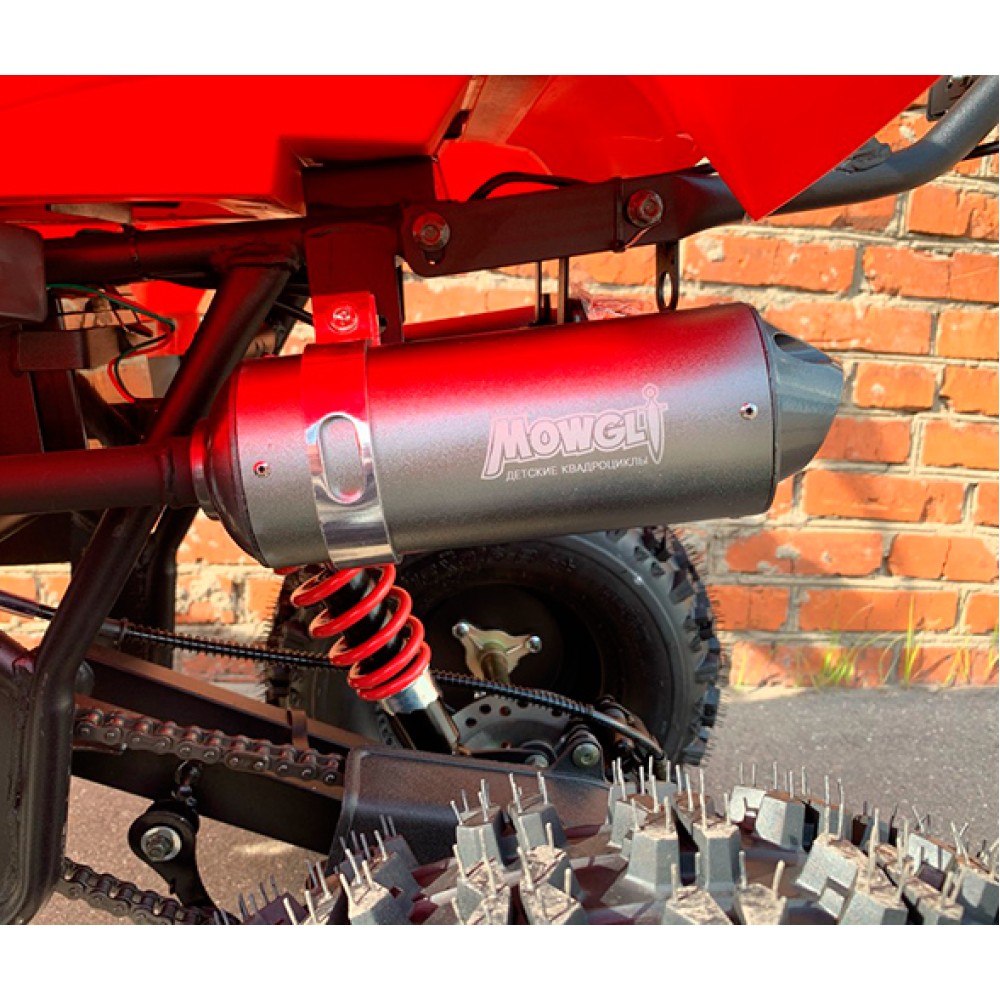 Квадроцикл MOWGLI Bold 8+