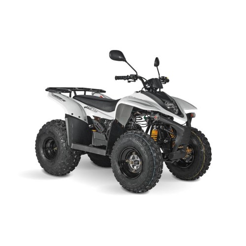 Квадроцикл BALTMOTORS Jam 100