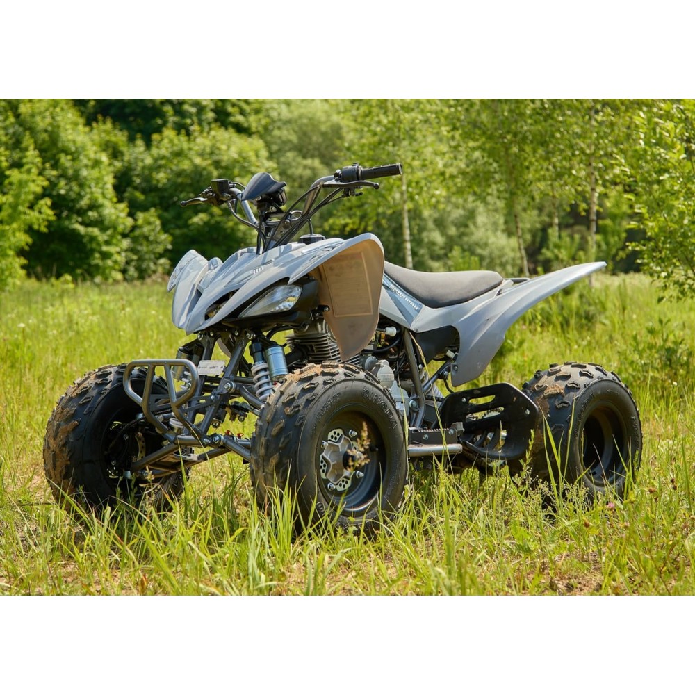 Квадроцикл SHARMAX Raizer Race Cup 250