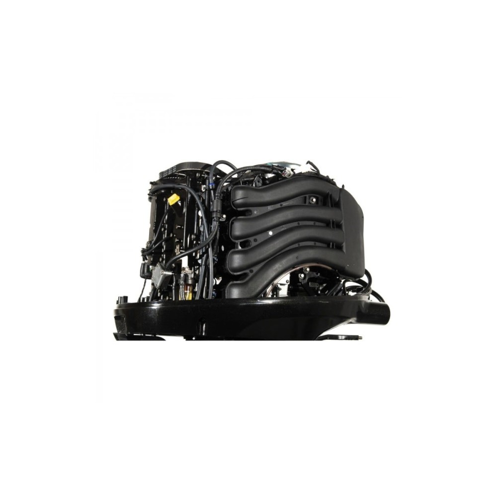 4х-тактный лодочный мотор GOLFSTREAM F100FEL-T EFI