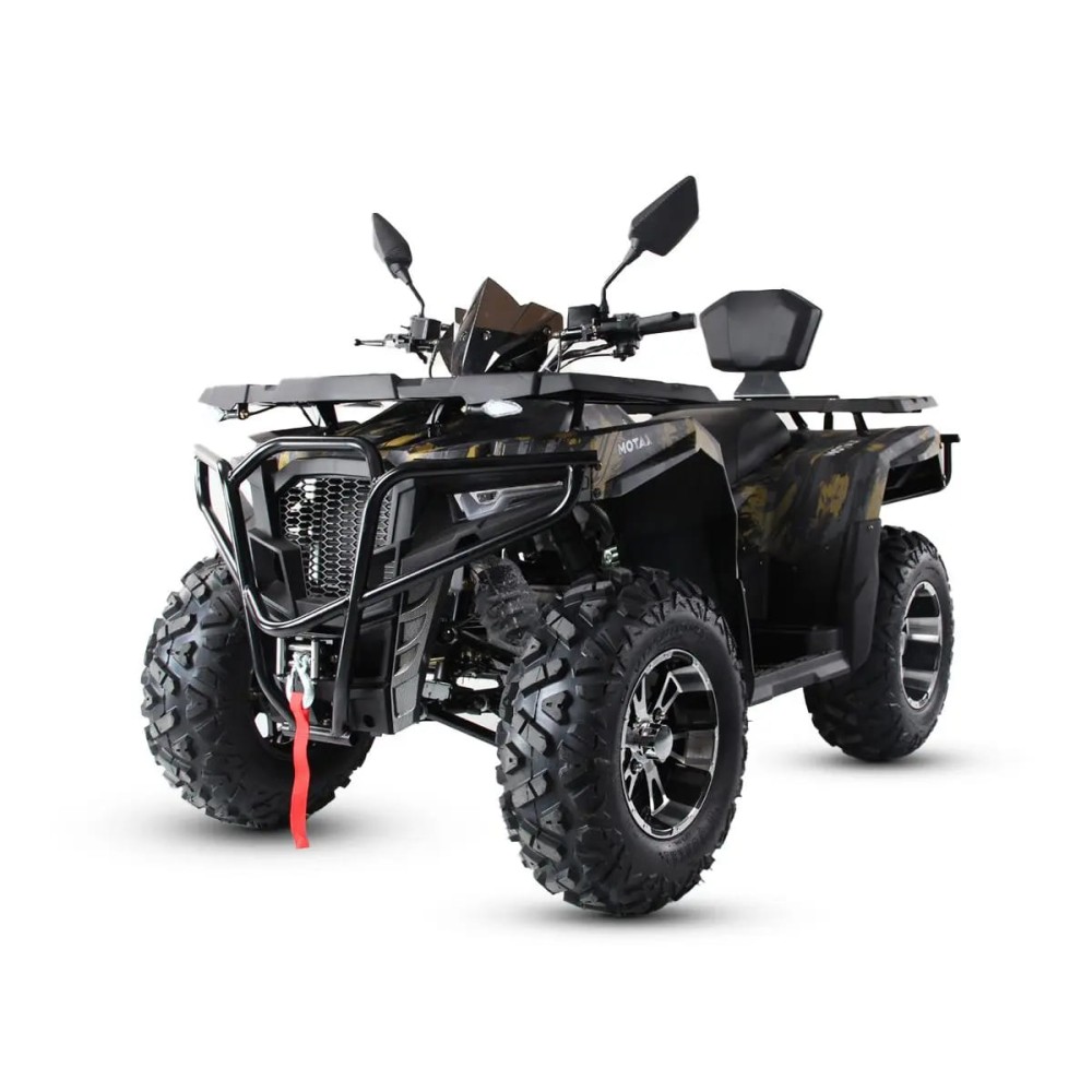 Квадроцикл MOTAX Grizlik 300