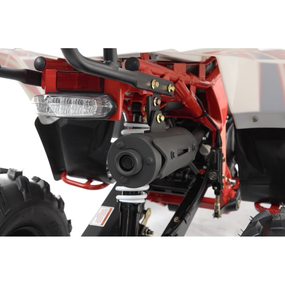 Квадроцикл MOTAX Grizlik A125