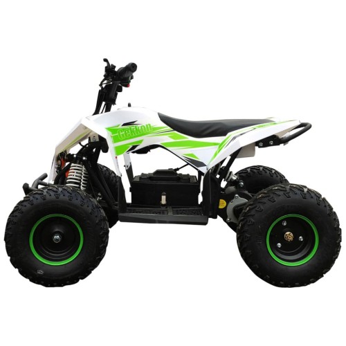 Электроквадроцикл MOTAX GEKKON 1300W