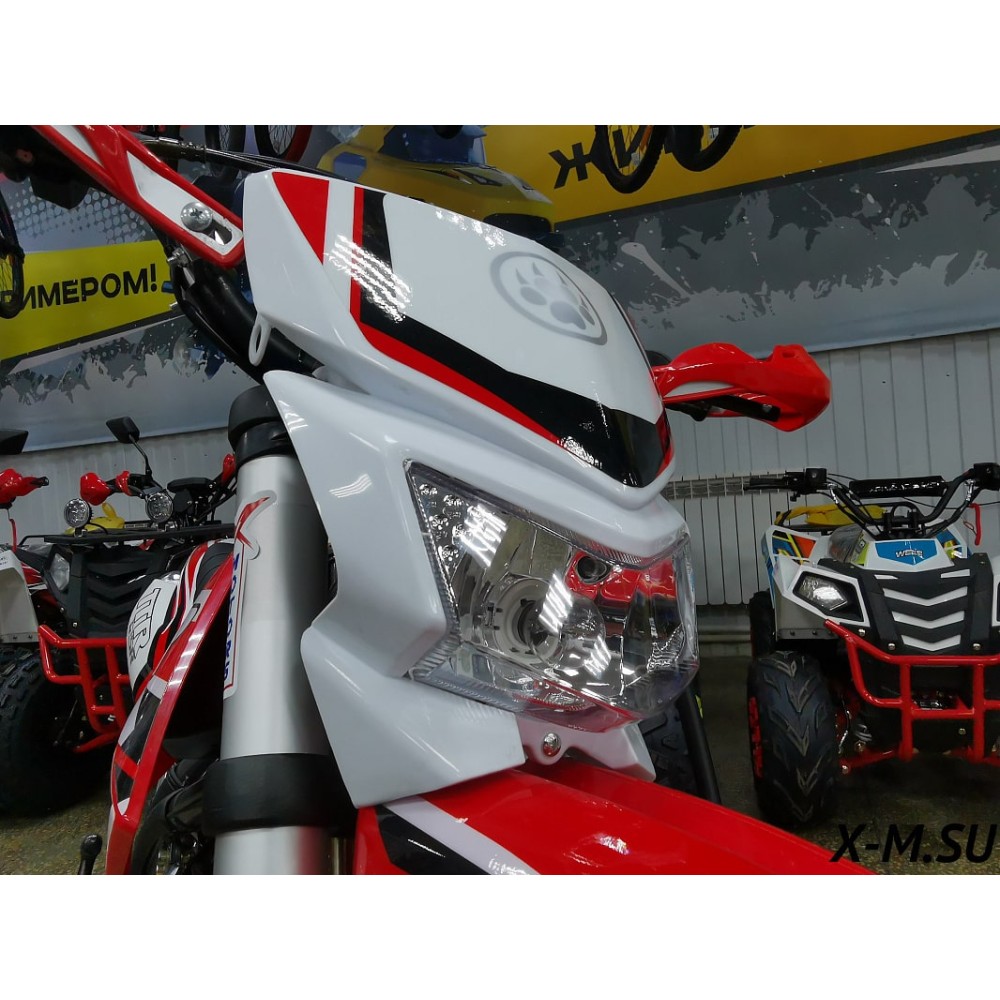 Мотоцикл IRBIS TTR 125R Pro Sport PITBIKE