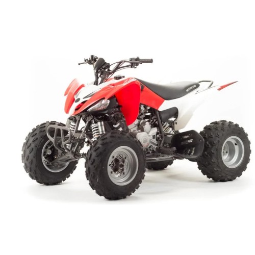 Квадроцикл MOTOLAND 125S (2020 Г.)