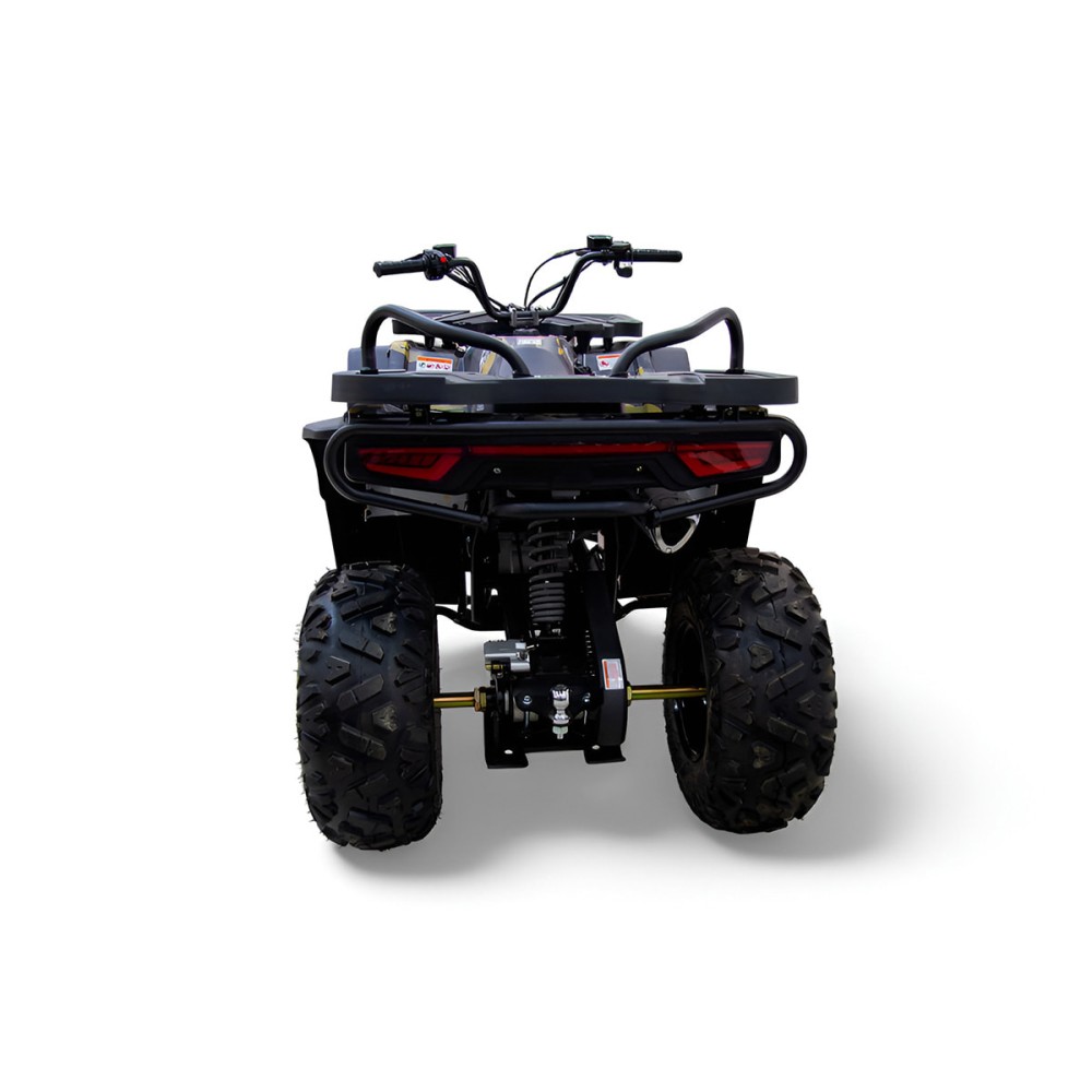 Квадроцикл MOTAX Grizlik W200