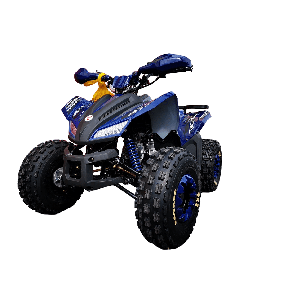 Квадроцикл MOTOLAND 125 Coyote PRO