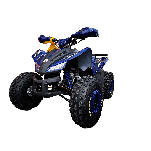 Квадроцикл MOTOLAND 125 Coyote PRO