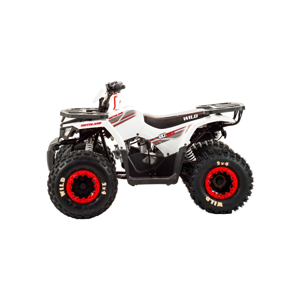 Квадроцикл MOTOLAND 125 Wild