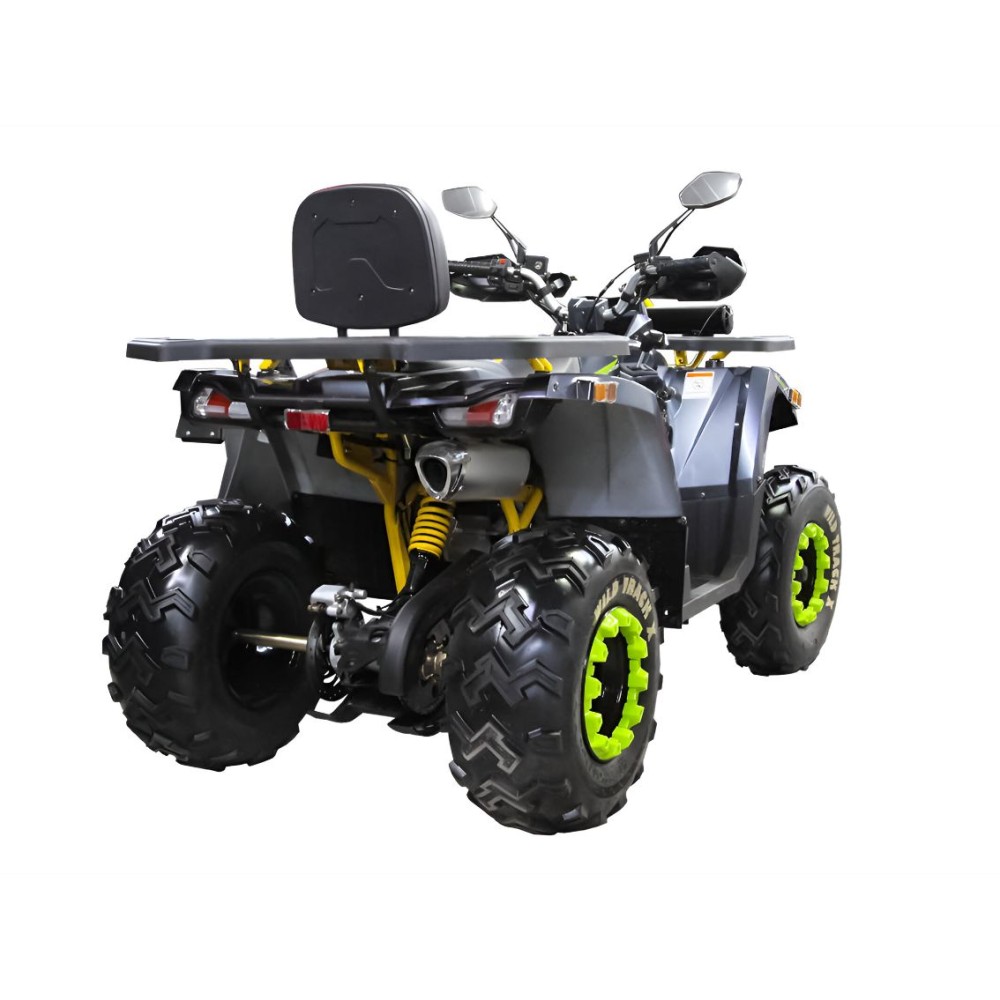 Квадроцикл MOTOLAND 200 Wild Track X Winch