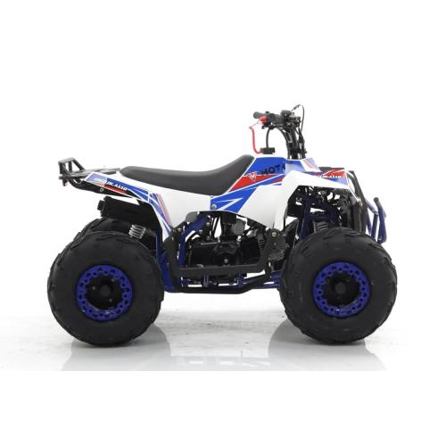 Квадроцикл MOTAX Grizlik A110