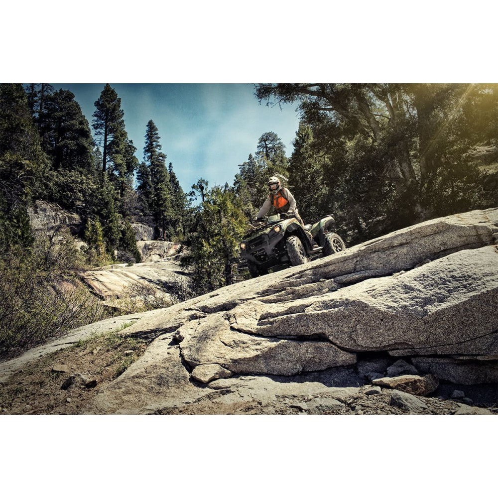 Квадроцикл KAWASAKI Brute Force KVF 750 4x4i EPS (2023) (ПСМ)