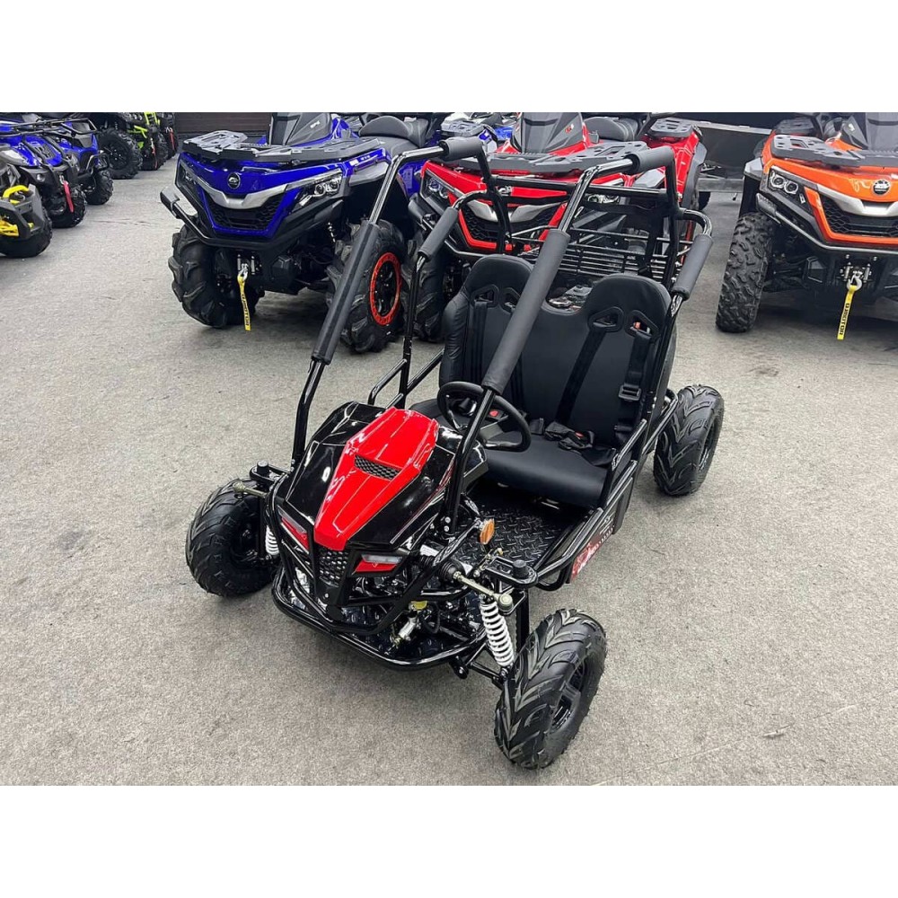 Багги SHARMAX Тигр 250