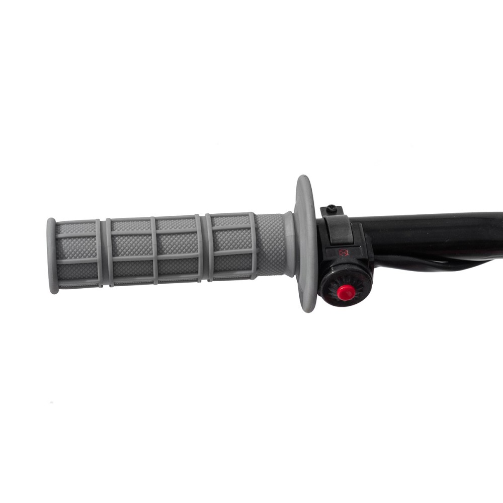 Мотоцикл REGULMOTO Pilot 110EA 14/12 PITBIKE