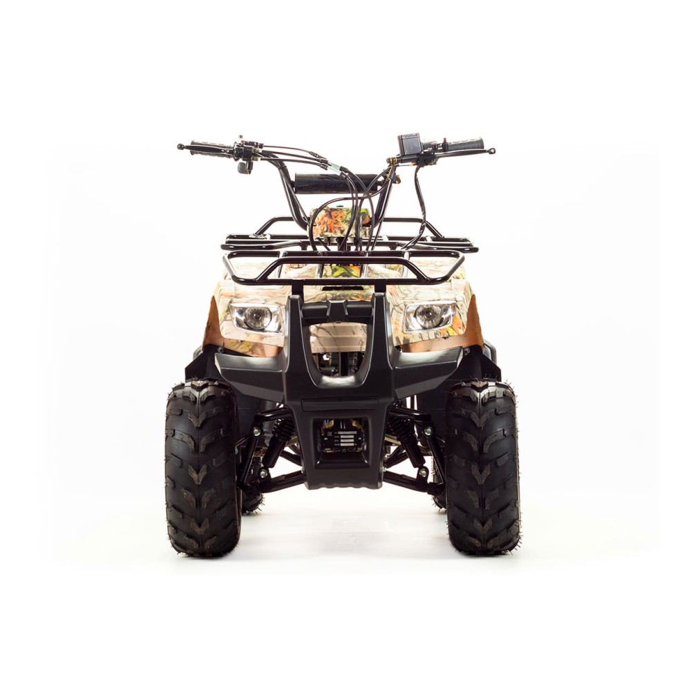 Квадроцикл MOTOLAND 110 Rider (2021 Г.)