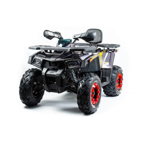 Квадроцикл MOTOLAND 200 Wild Track X Pro (2022)