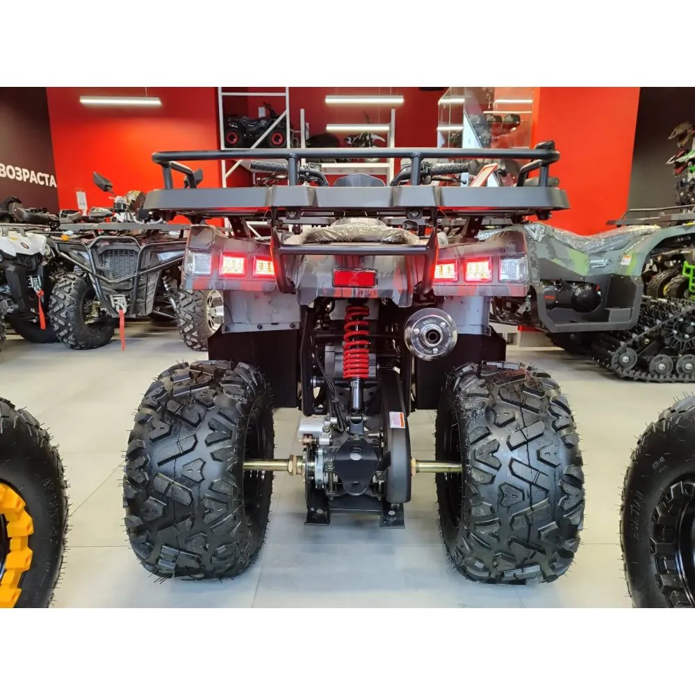 Квадроцикл MOTAX Grizlik T 200