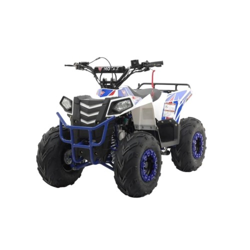 Квадроцикл MOTAX Grizlik A110