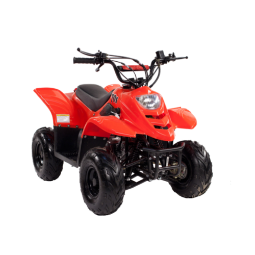 Квадроцикл IRBIS Dingo 50s