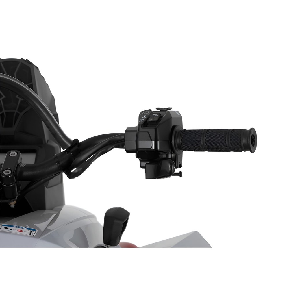 Квадроцикл SHARMAX Spyder 1100