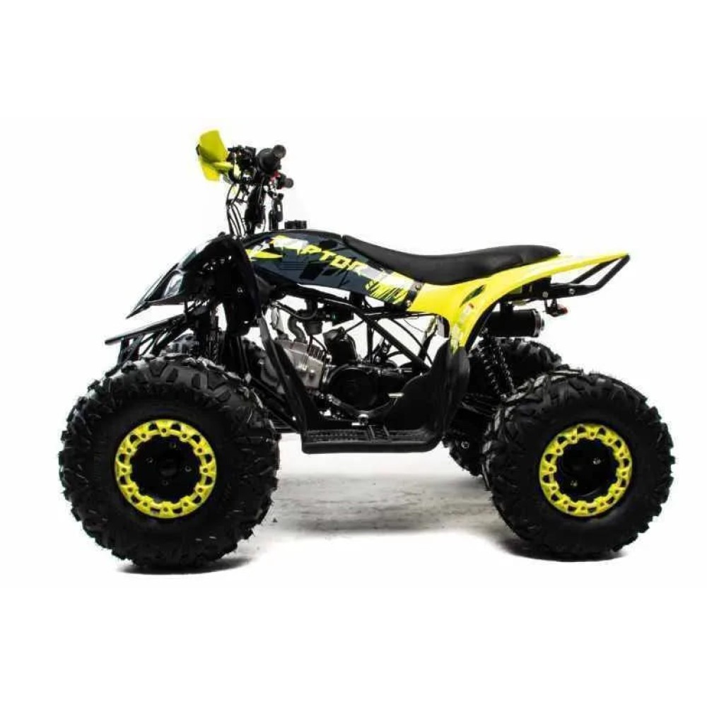Квадроцикл MOTOLAND 125 RAPTOR