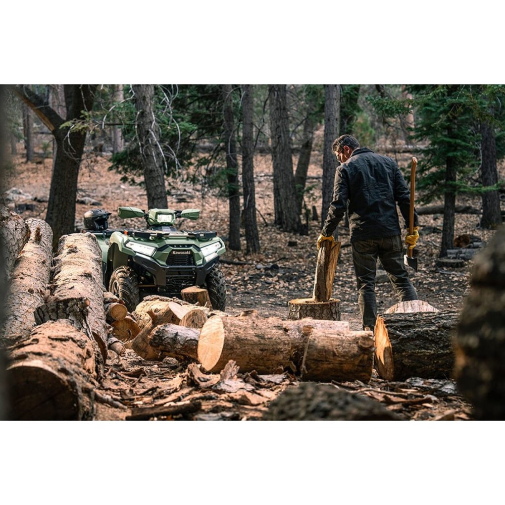 Квадроцикл KAWASAKI Brute Force 750 LE EPS (2024) (ПСМ)