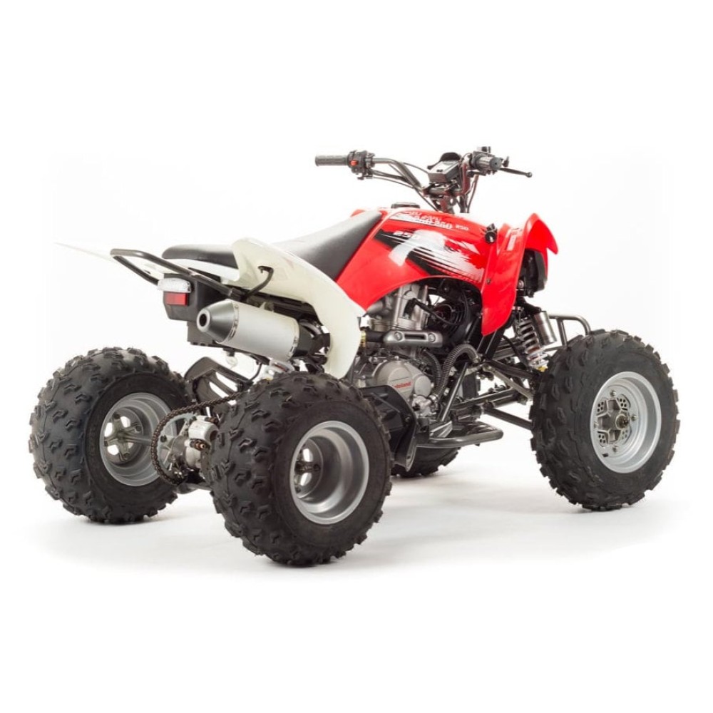 Квадроцикл MOTOLAND 125S (2020 Г.)