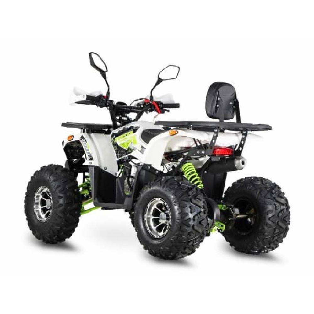 Квадроцикл GRIZZLY Aerox 125