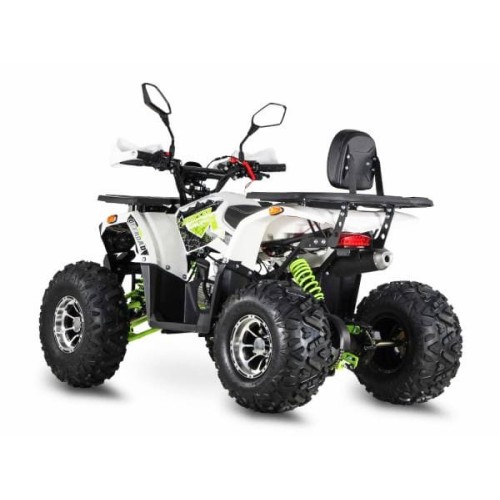 Квадроцикл GRIZZLY Aerox 125