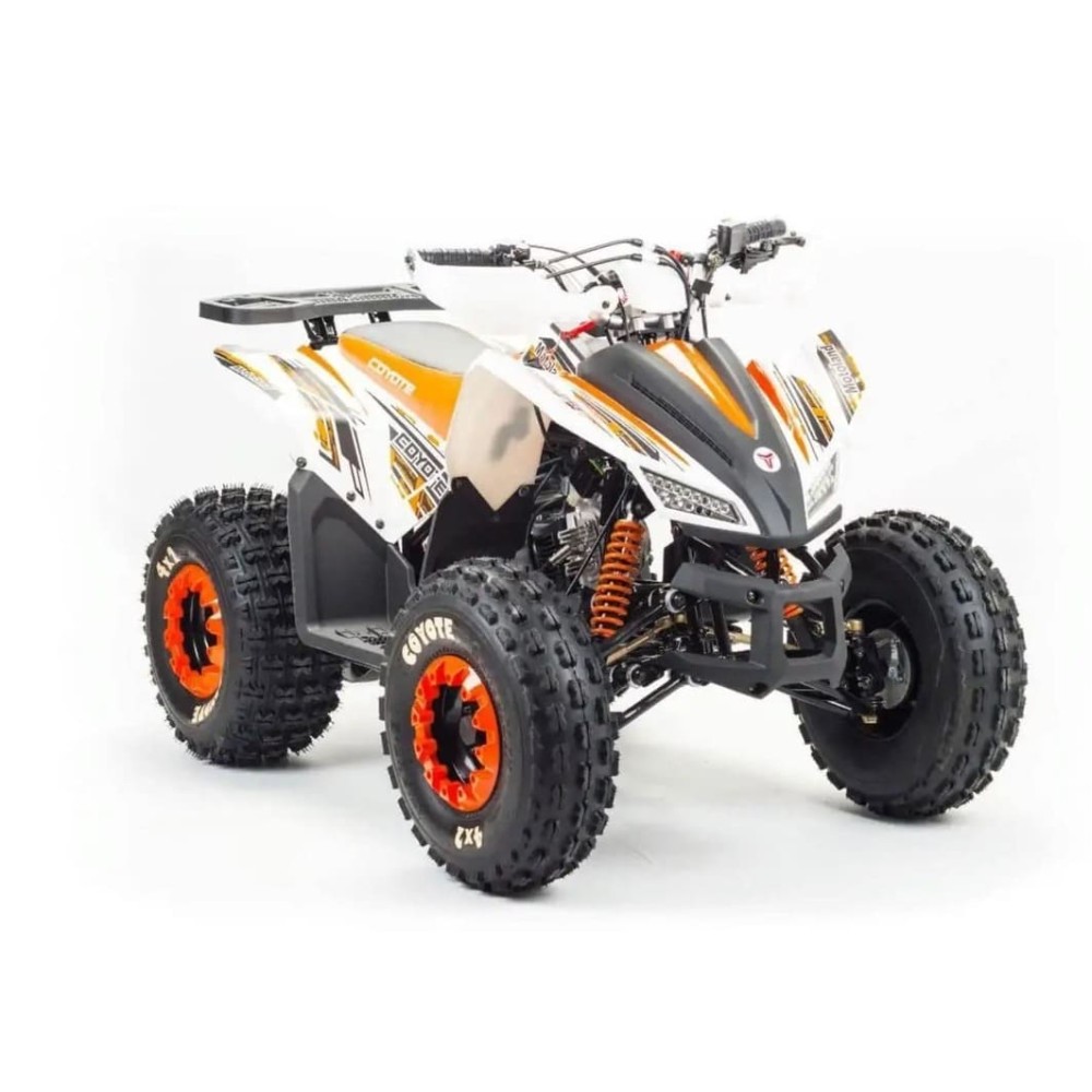 Квадроцикл MOTOLAND 125 Coyote (2021 Г.)