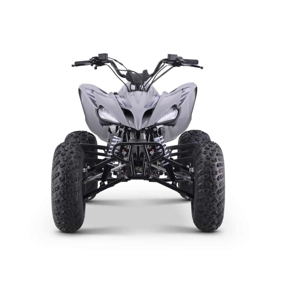 Квадроцикл SHARMAX Raizer Race Cup 250