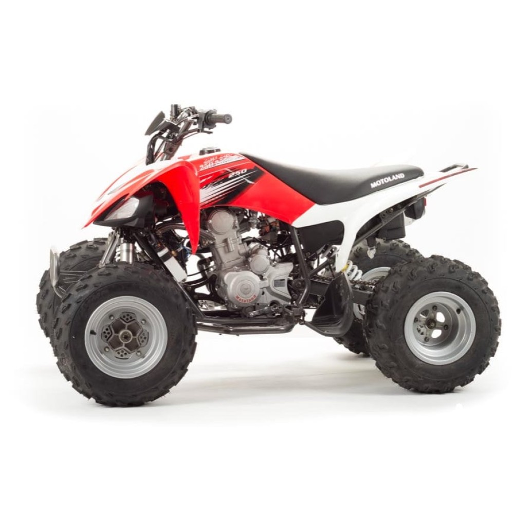 Квадроцикл MOTOLAND 125S (2020 Г.)