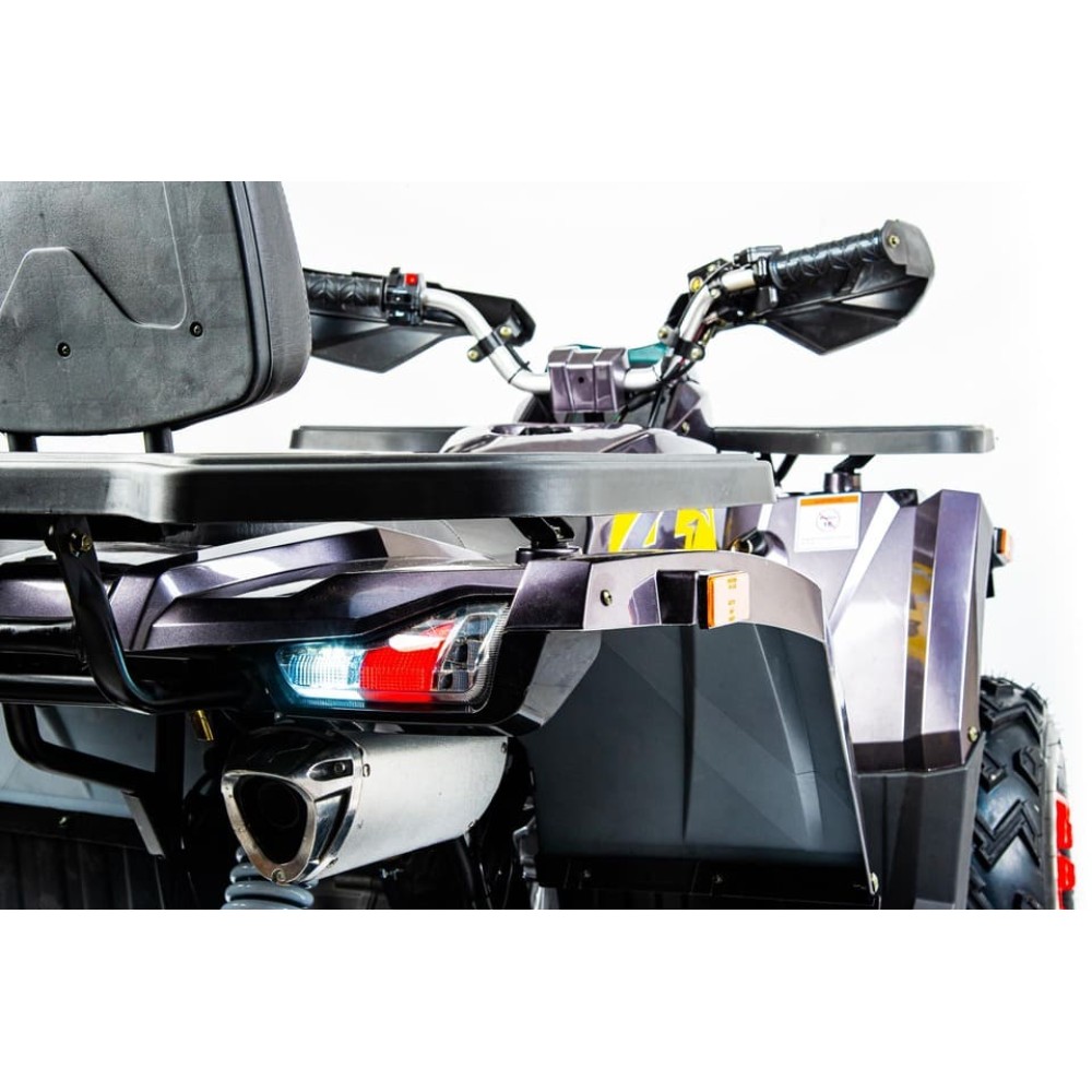 Квадроцикл MOTOLAND 200 Wild Track X Pro (2022)