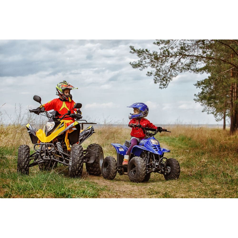 Квадроцикл RM Рысь 150