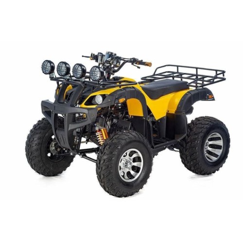 Квадроцикл RAPTOR Max Pro 250 (жёлтый/чёрный) (2024)