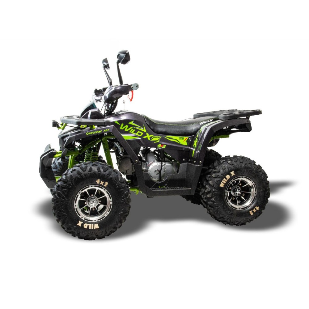 Квадроцикл MOTOLAND 125 Wild X Pro