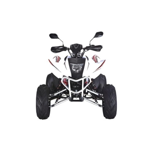 Квадроцикл RATO RТ250SТ-2