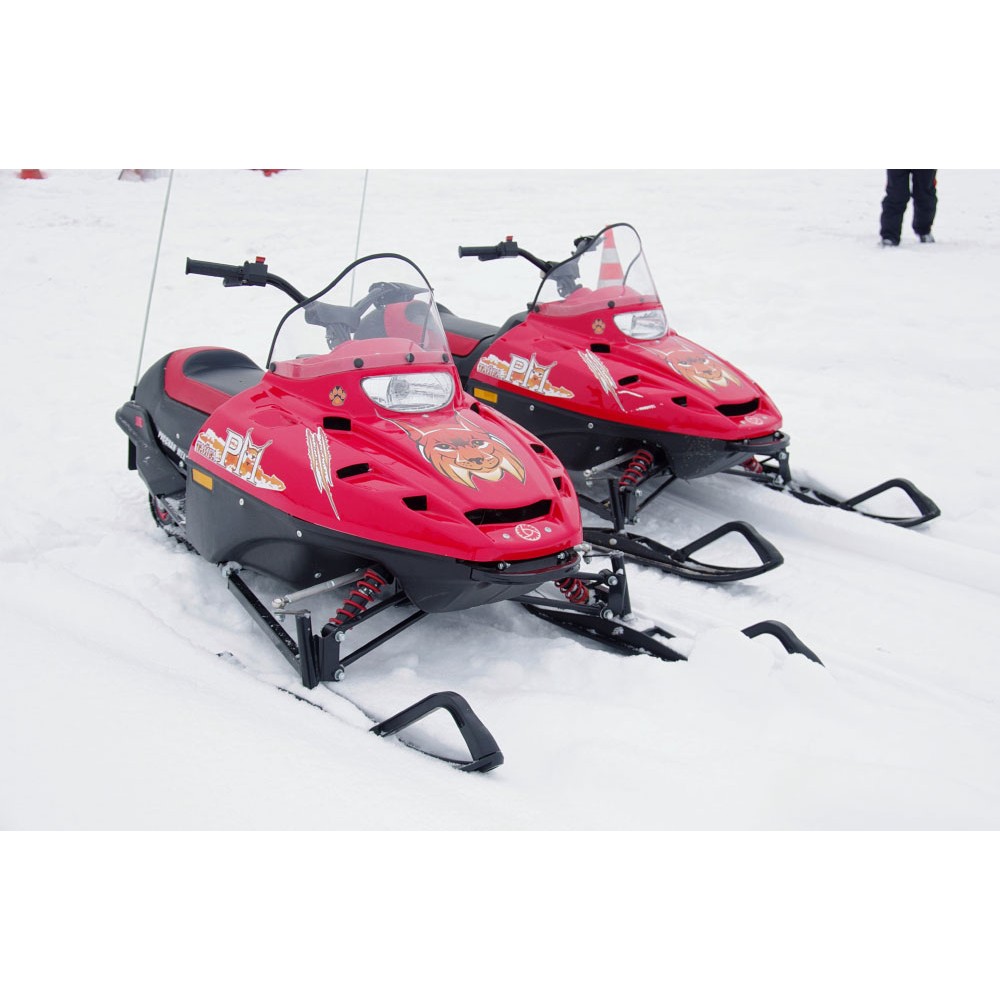 Снегоход РУССКАЯ МЕХАНИКА ТАЙГА Рысь Детский