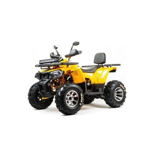 Квадроцикл BISON Track X PRO