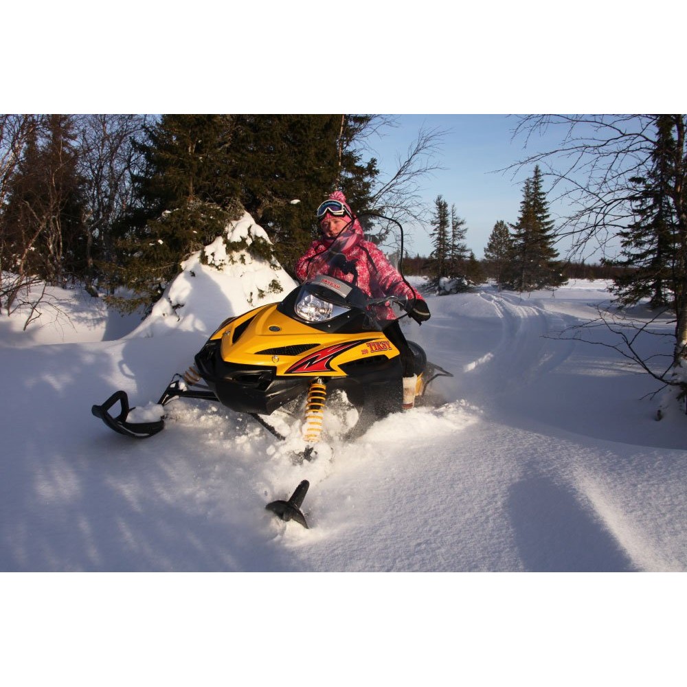 Снегоход РУССКАЯ МЕХАНИКА Tiksy 250 Люкс