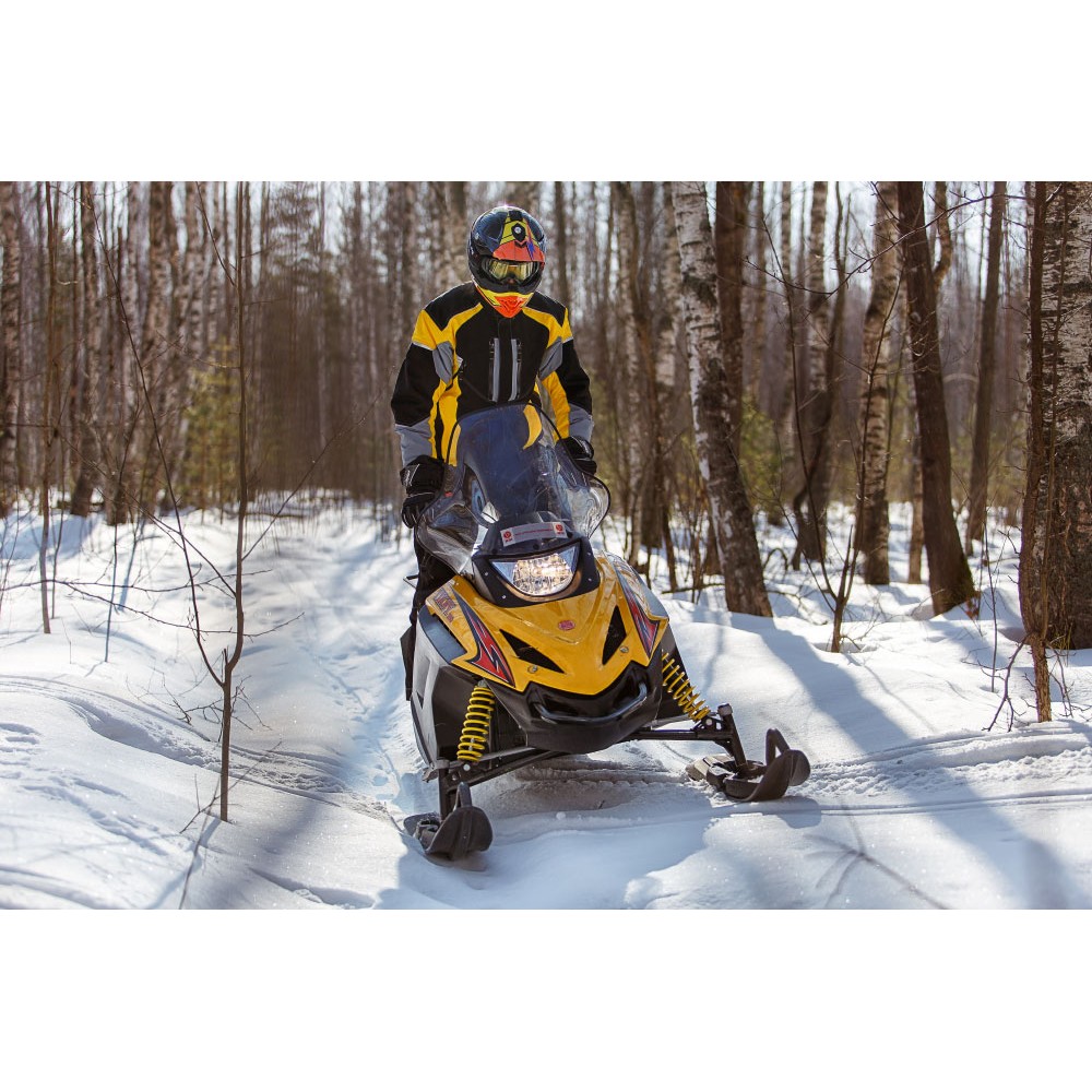 Снегоход РУССКАЯ МЕХАНИКА Tiksy 250 Люкс