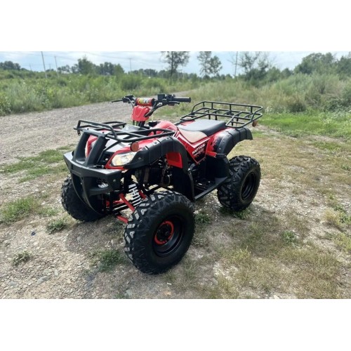 Квадроцикл RAPTOR Madman 200 All