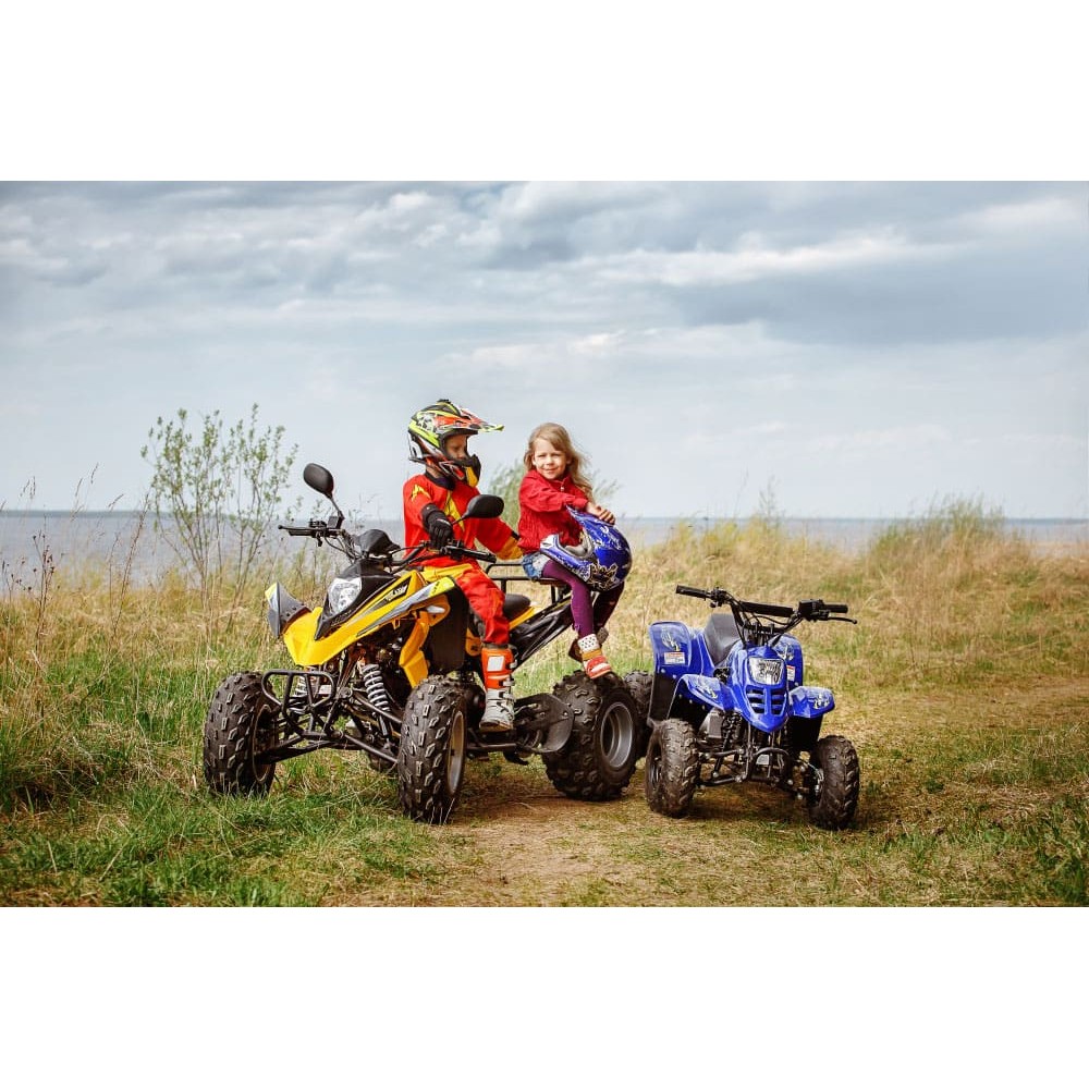 Квадроцикл RM Рысь 150