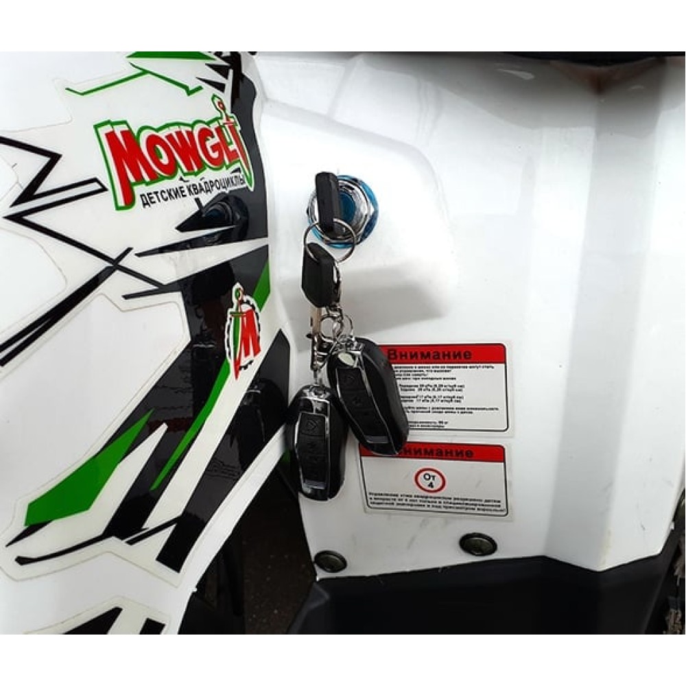 Квадроцикл MOWGLI Hardy 8+